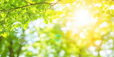 Fototapeta premium Sunlit Green Forest Bubbles