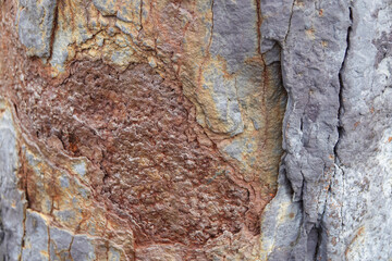Background of textured old rusted iron with weathered and corroded surface details