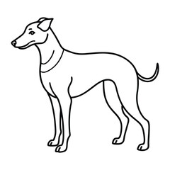 Obraz premium Dog line art coloring book vector design on white