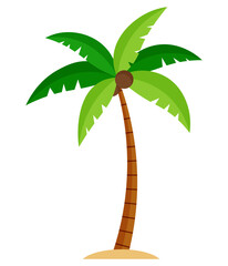 Palm tree or coconut tree cartoon illustration clipart