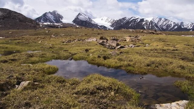 4K footage captures a beautiful meadow in Arabel Plateau, Kyrgyzstan, with snowy-capped mountains in the background, showcasing the area's untouched beauty.