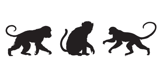 Silhouette of monkey vector icon set illustration isolated on white background.