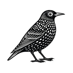 European starling vector silhouette on a white background