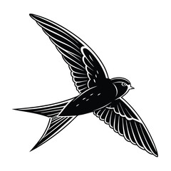 Typical swift Bird Silhouette on a white background