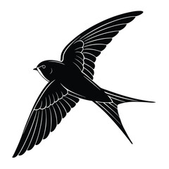 Typical swift Bird Silhouette on a white background
