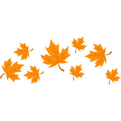 Autumn Maple Leaves Fall