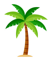 Coconut palm tree cartoon illustration plant summer tropical clipart