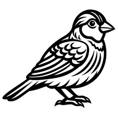 Sparrow silhouette