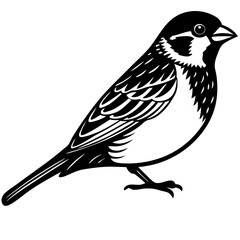 Sparrow silhouette