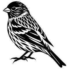 Sparrow silhouette