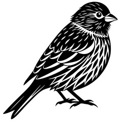 Sparrow silhouette