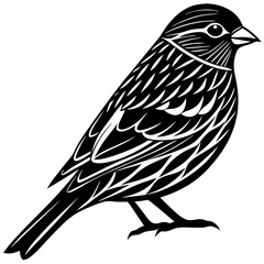 Sparrow silhouette