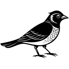Sparrow silhouette
