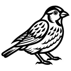 Sparrow silhouette