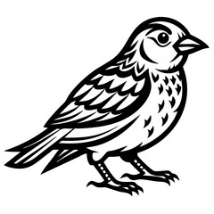 Sparrow silhouette