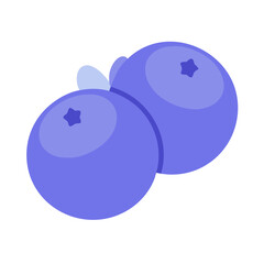 Obraz premium blueberry vector