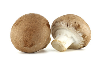 Two fresh cremini mushrooms are arranged closely together on a bright white surface.