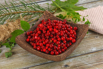 Natural organic wild forwst lingonberry