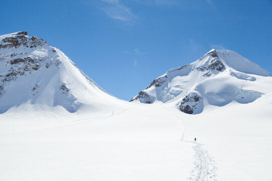 Backcountry skier on glacier below mountain pass (Obers M&ouml;nchsjoch)