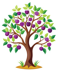 plum tree vector 63.eps, plum tree vector 