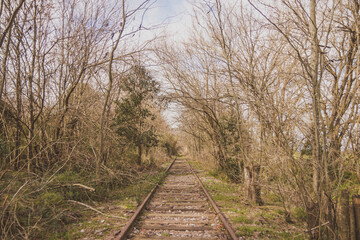 Abandoned Railway Tracks in Carlos Keen, Buenos Aires, Argentina
