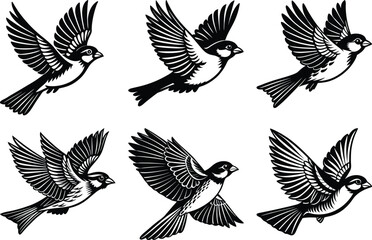 Fototapeta premium set of Sparrow silhouette vector