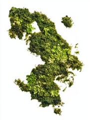 Obraz premium Lush Green Moss Patch on White Background Capturing the Beauty of Nature with Soft Lighting and Natural Texture for Stock Photography