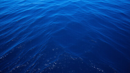 A profound azure dominates the view, the overhead surface a seemingly solid sheet of rich color. Subtle gradations exist within the blue, hinting at varying depths and densities of the water above.