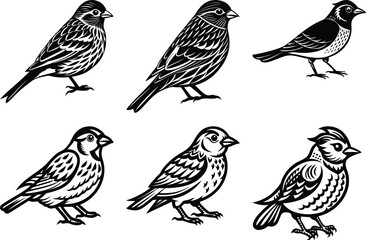 set of Sparrow silhouette vector