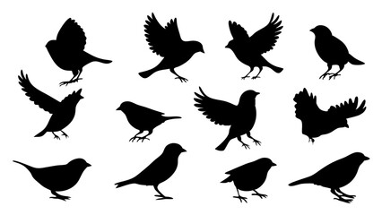 set of Sparrow silhouette vector