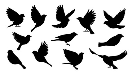 set of Sparrow silhouette vector