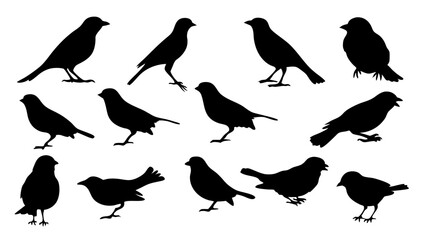 set of Sparrow silhouette vector