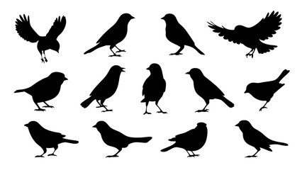 set of Sparrow silhouette vector