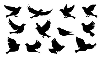 set of Sparrow silhouette vector