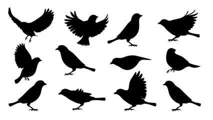 Obraz premium set of Sparrow silhouette vector