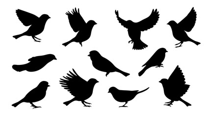 set of Sparrow silhouette vector