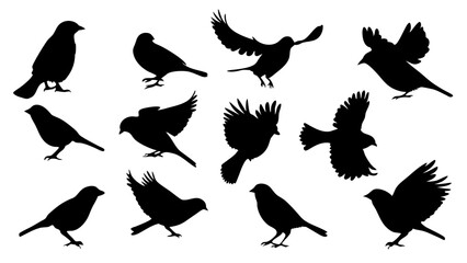 set of Sparrow silhouette vector