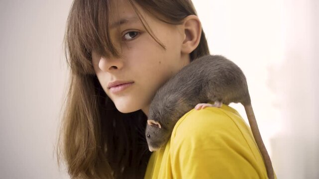 Close-up portrait of a teenage girl with a pet gray rat sitting on her shoulder. Natural light and focus on the face and animal. A calm and unique moment of connection between human and pet.