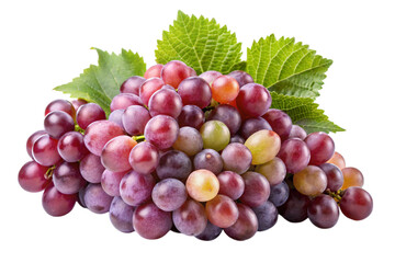 Obraz premium assorted grape bunches with leaves for food, nutrition, and beverage projects