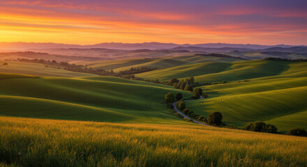 Panoramic view of rolling green hills bathed in the warm glow of a setting sun.