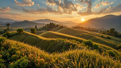 Golden Sunrise Over Rolling Hills and Lush Green Rice Fields