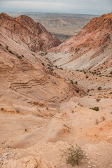 red rocks in the canyon