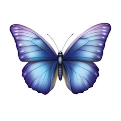 Fototapeta premium Realistic blue butterfly with open wings isolated on a white transparent background.