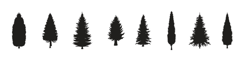 Collection of pine tree silhouettes. Various shapes of fir tree silhouettes