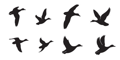 Flying Ducks Silhouettes
