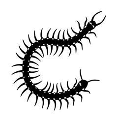 Black and white centipede illustration with many legs and white spots