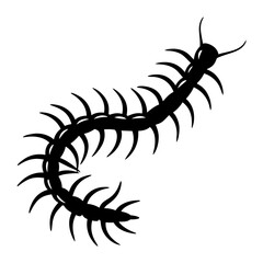 Creepy Crawly Centipede Silhouette with Many Legs and Antennae, Seen in Black