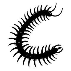 Black silhouette illustration of a centipede with many legs on a white background