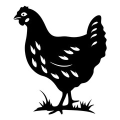 Black Silhouette of a Chicken Standing in Grass with White Details