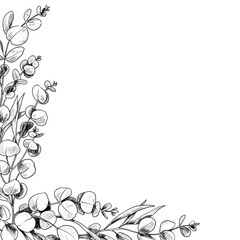 Obraz premium Eucalyptus Leaves Border for Wedding Invitations 